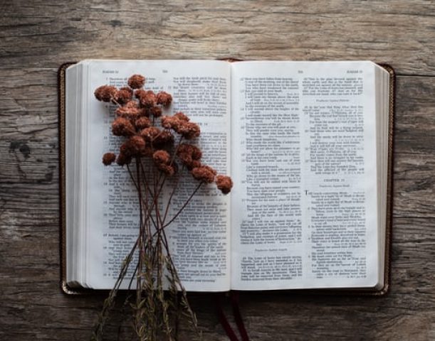Flowers in Bible